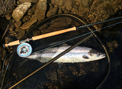 Salmon Fishing In Scotland
